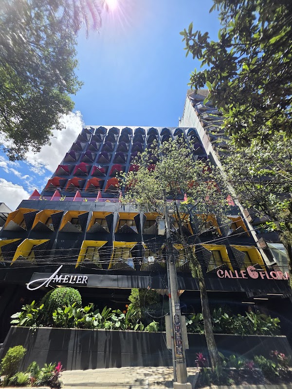 Calle Flora Hotel by Jalo