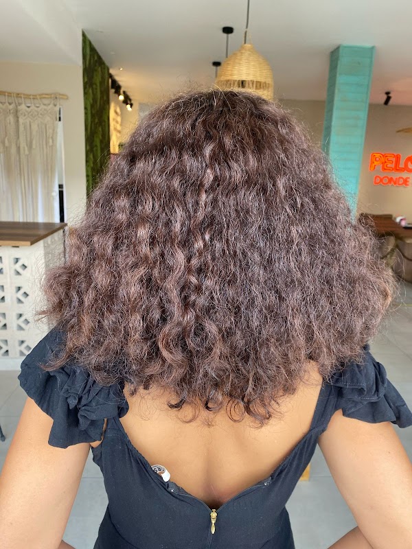 Pelo Bueno