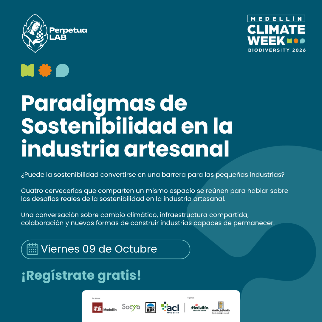 Sustainability Paradigms in the Craft Industry