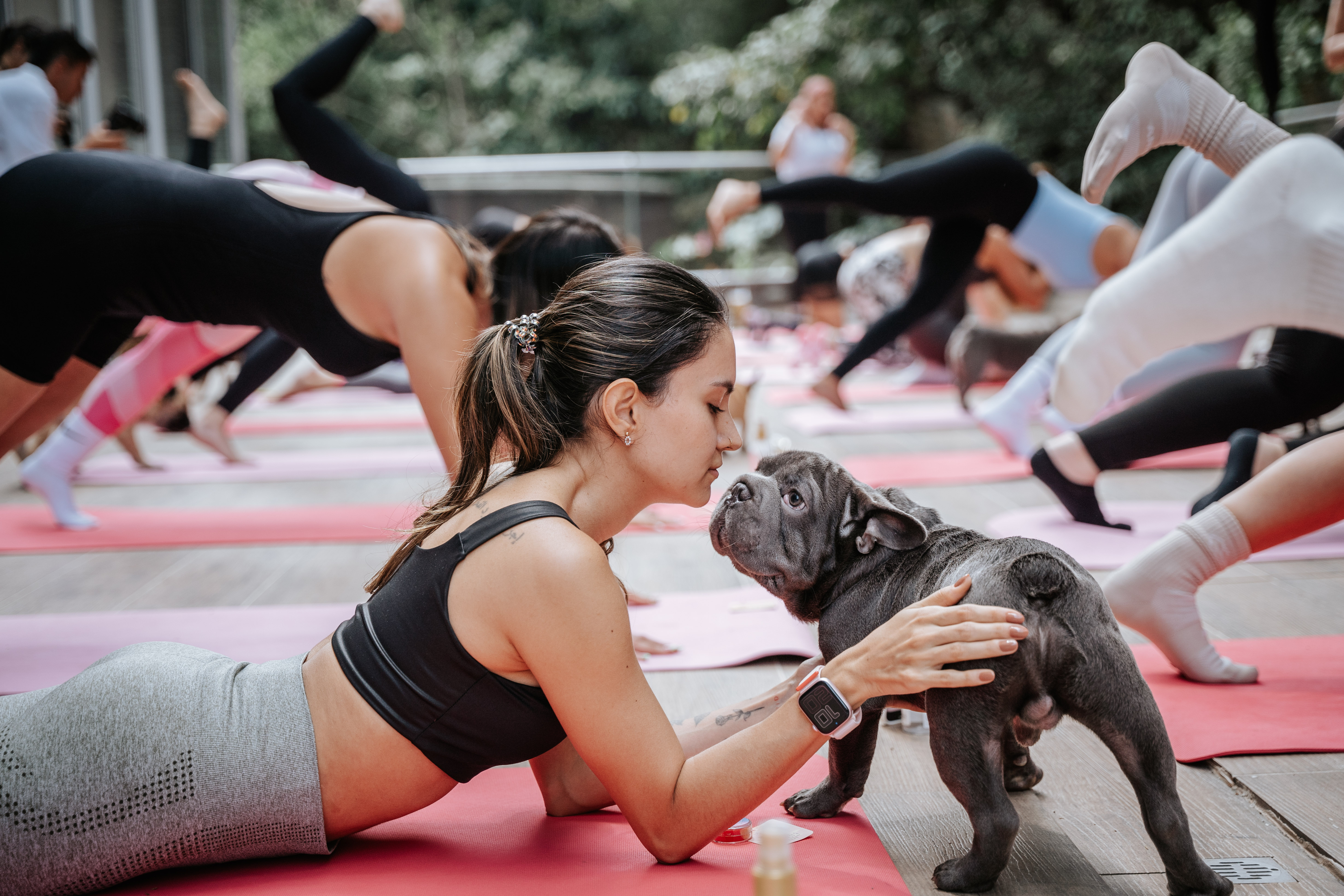 Puppy Yoga & Brunch - August 22
